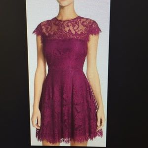 Fun cocktail lace dress!